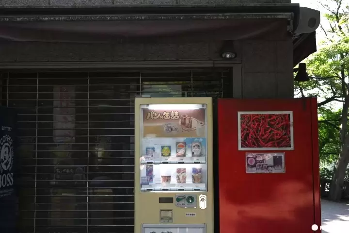 Inokashira Park: Seasonal Highlights and 10 Ways to Spend A Day