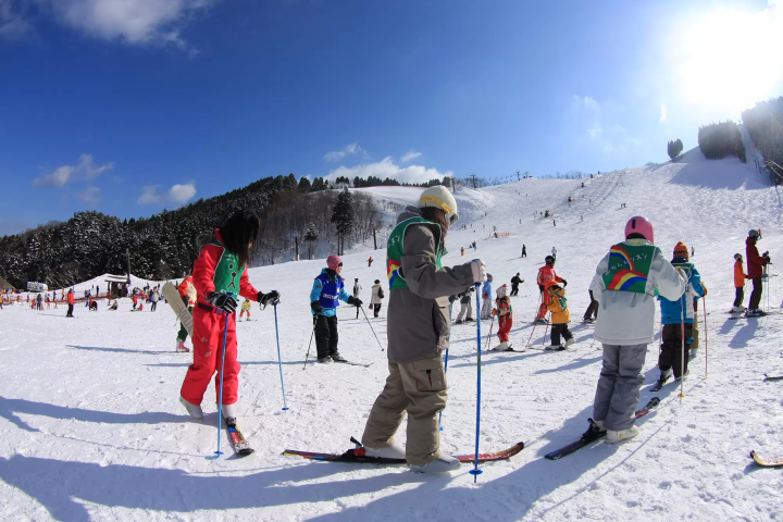 从大阪、神户、姬路出发可轻松抵达。这里是第一次玩雪、首次滑雪/单板滑雪的最佳场所!