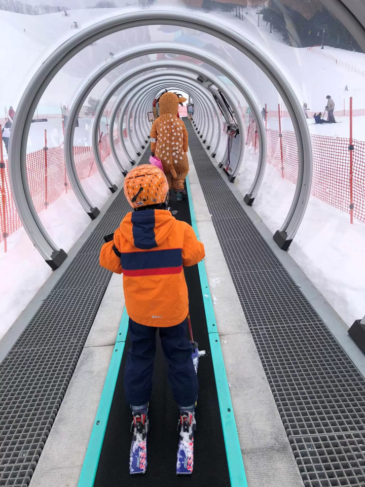 从大阪、神户、姬路出发可轻松抵达。这里是第一次玩雪、首次滑雪/单板滑雪的最佳场所!