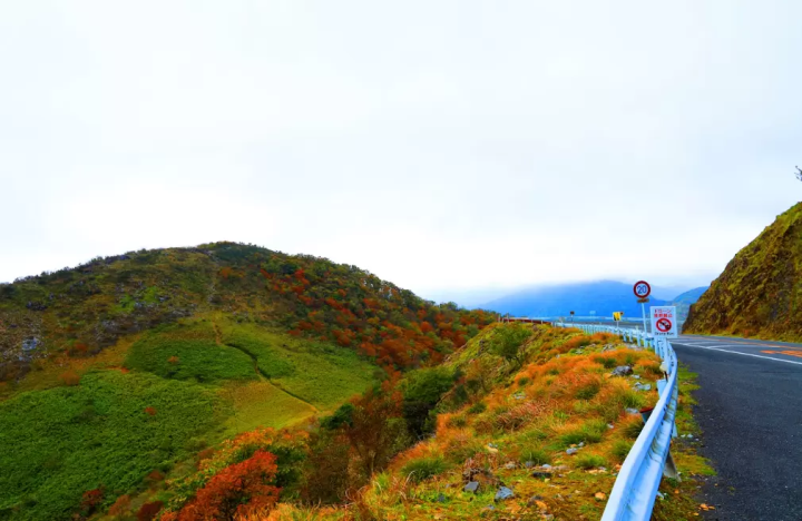 【滋賀駕車路線】參觀歷史古蹟，欣賞豐富的自然風光！
