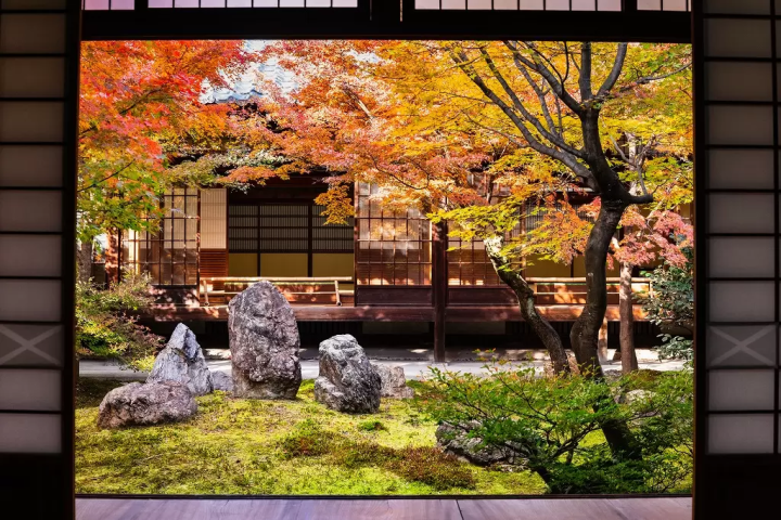 15 Things to Do in Gion, Kyoto's Charming Traditional District