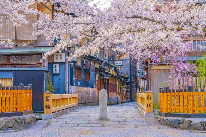 15 Things to Do in Gion, Kyoto's Charming Traditional District