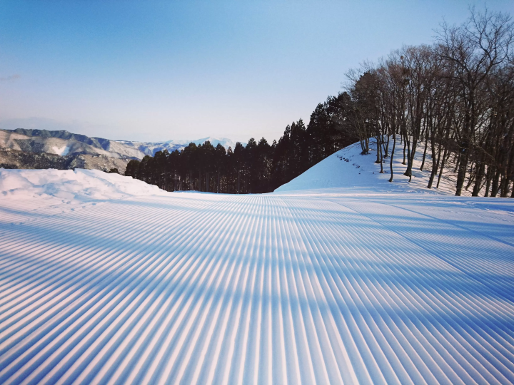 从大阪、神户、姬路出发可轻松抵达。这里是第一次玩雪、首次滑雪/单板滑雪的最佳场所!