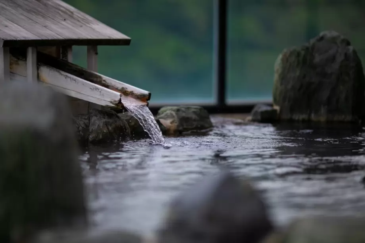 Enjoy natural hot springs with meals while relaxing in your room. [Day trip plan]