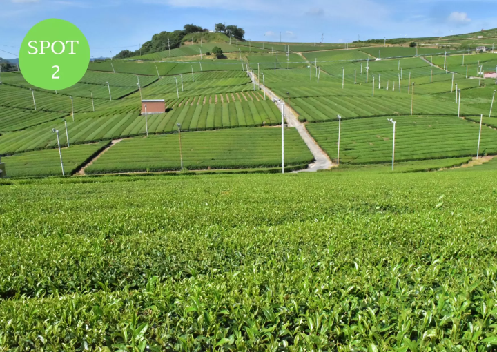 【福岡・八女】シェアサイクルでめぐる3時間コース「おしゃれ女子旅・映えスポット盛りだくさんコース」