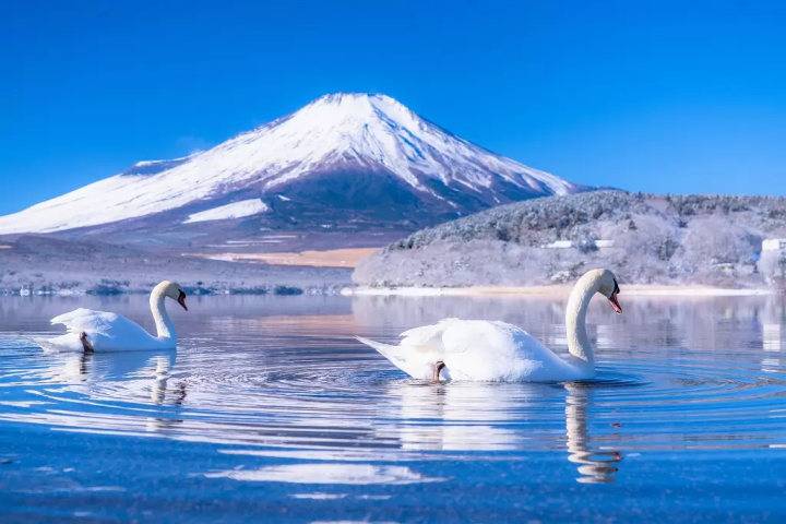 Fujiyoshida: 15 Things to Do, Dining, Access, Hotel and Travel Tips