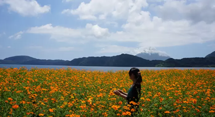 [Kagoshima Driving Course] A relaxing and relaxing trip! Enjoy the spectacular views and the famous sand baths!
