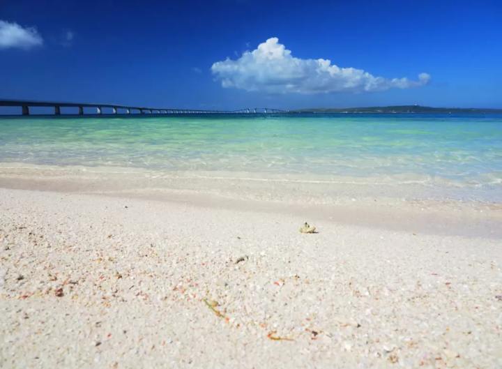 [Okinawa Prefecture] Renting a car is convenient for sightseeing in Okinawa Prefecture! Top 3 popular rental car locations