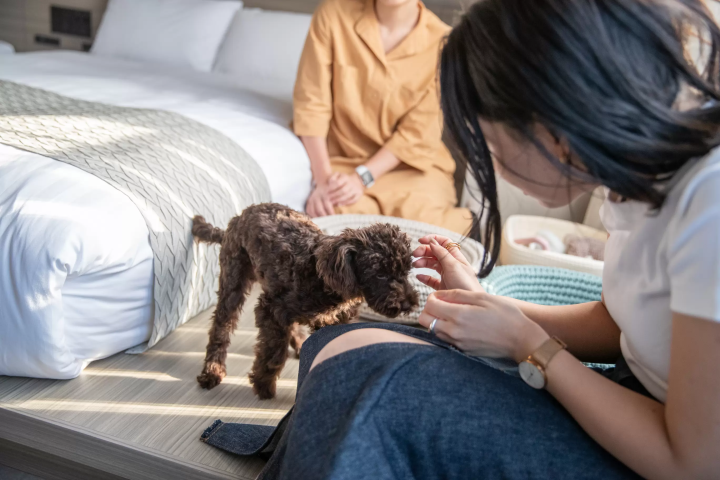 【2024最新】沈浸天然溫泉裡，夢幻港灣美景盡收眼底！感受函館魅力高評價住宿10選！