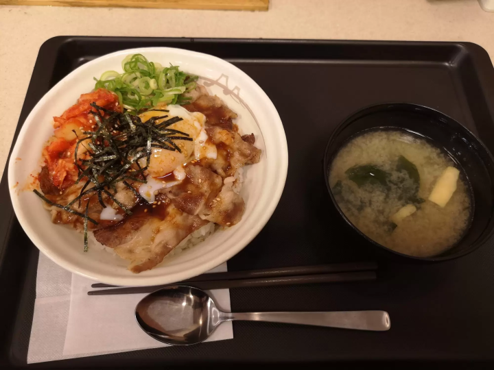 Exploring Japan's Top Four Gyudon Chains: Matsuya, Yoshinoya, Sukiya, and Nakau