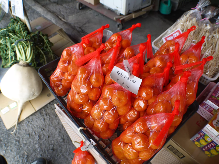 【2024最新】 鹿兒島旅遊完全攻略! 必訪景點、美食、交通