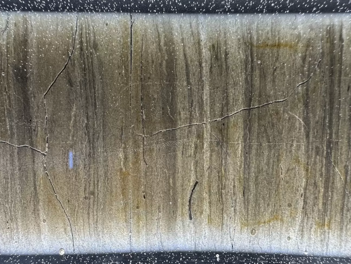 年縞のしましま