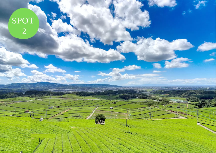 【福岡・八女】シェアサイクルでめぐる3時間コース「八女茶にどっぷり浸かりたいコース」