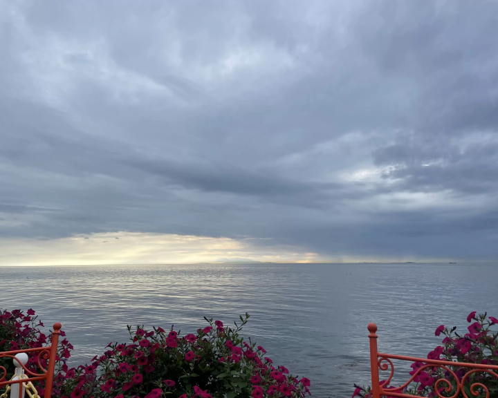 淡路島牛肉首選3間餐廳推薦!環境好氣氛佳,餐點高品質不踩雷✨