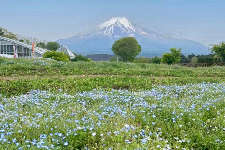从东京出发约2小时即可到达的关东豪华露营地10选