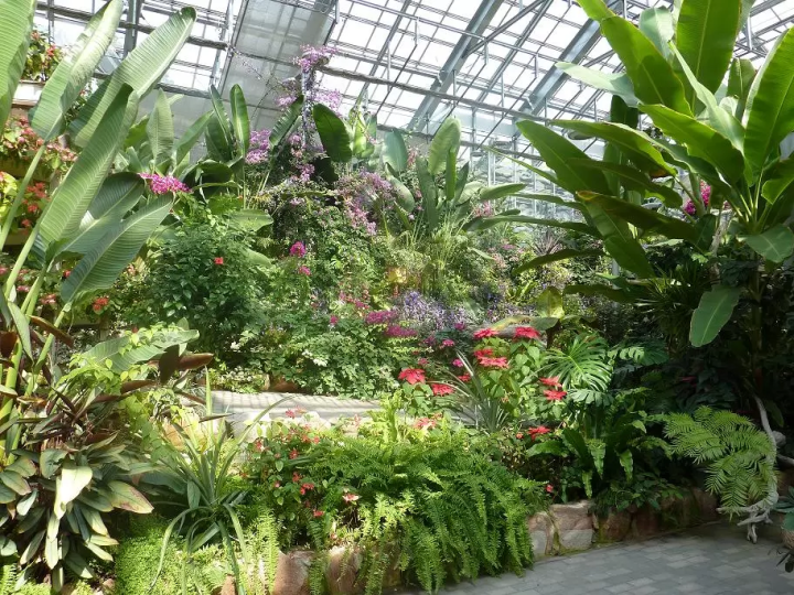 植物園體驗！永生花類