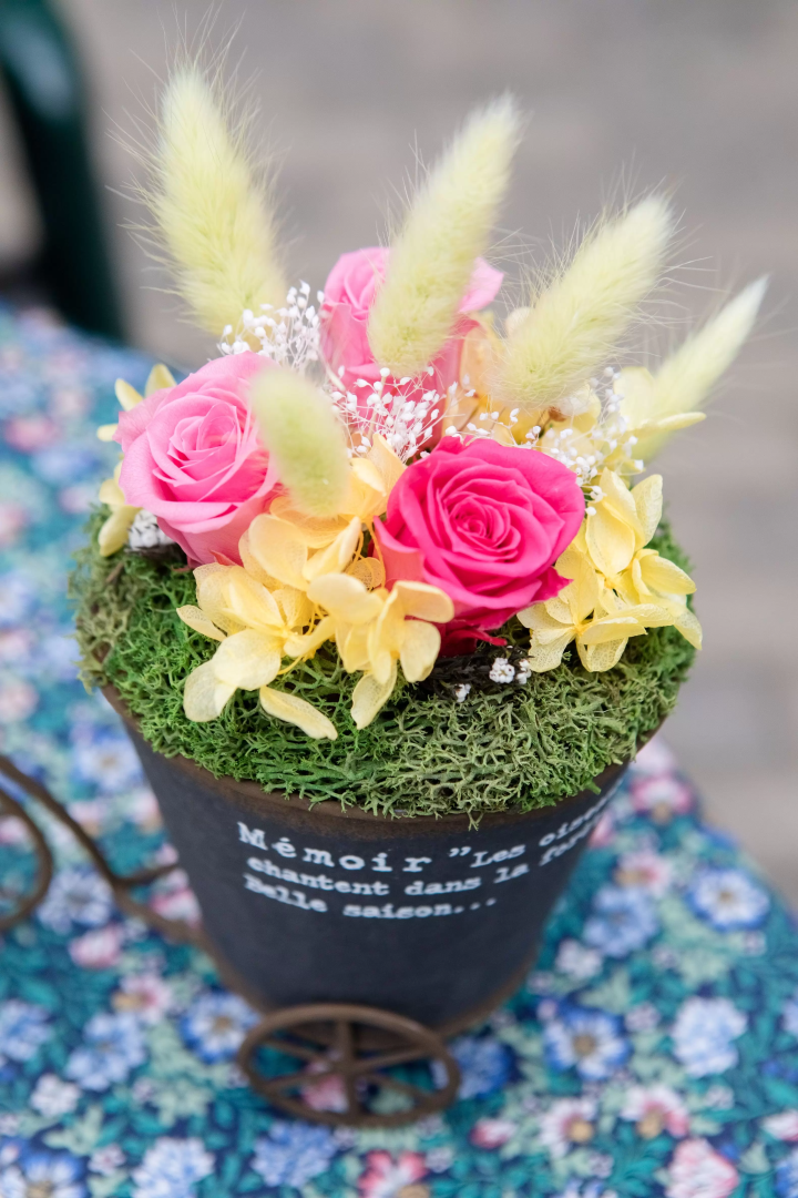 植物園體驗！永生花類