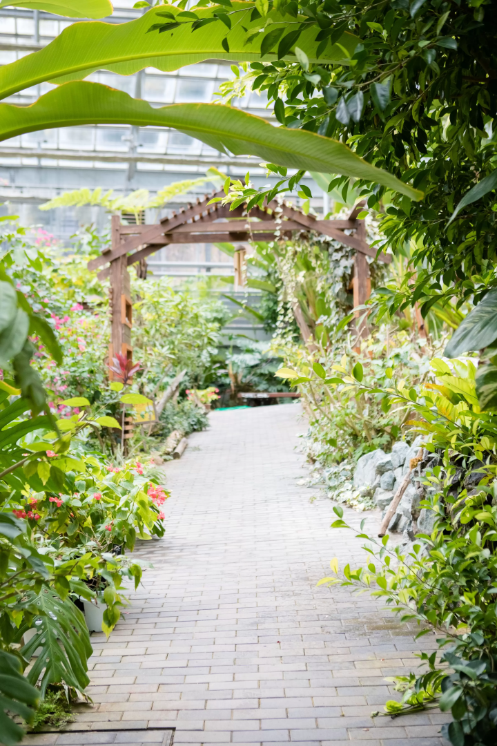 植物園體驗！永生花類