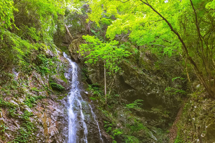 从东京出发约2小时即可到达的关东豪华露营地10选