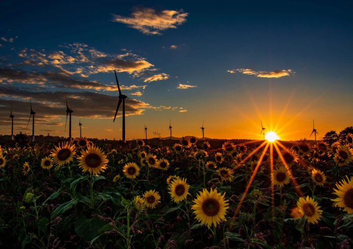 Spectacular views! The charm of Lake Inawashiro, the foundation of Koriyama's development