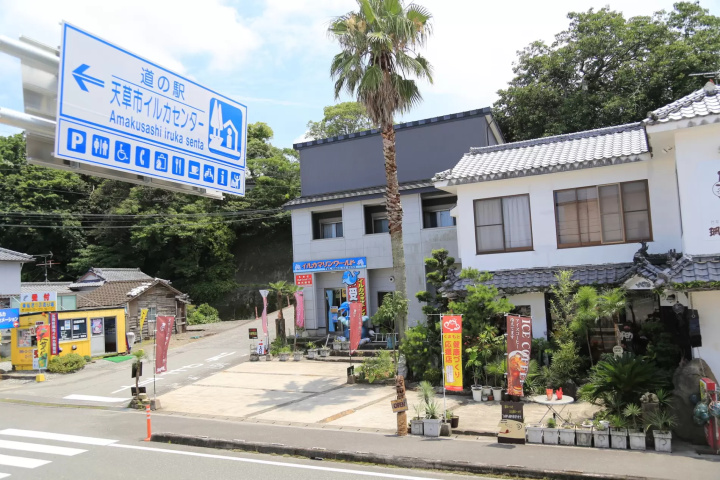 イルカセンター