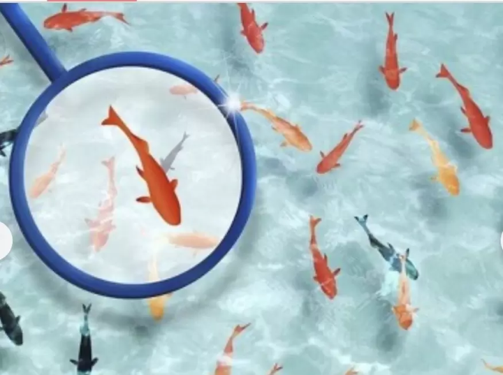 我推荐的节日摊位！