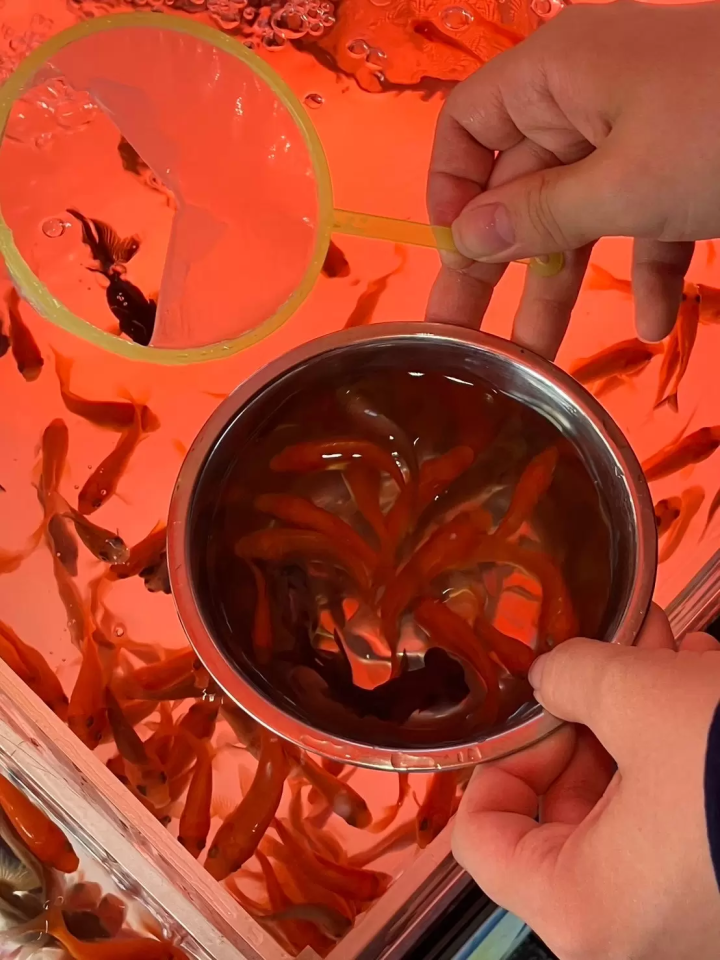 汗水与微笑的粉丝节