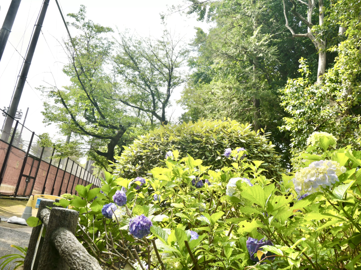 【哲学堂公園】古建築物を訪ねて、プチトリップ気分。