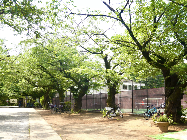 【哲学堂公園】古建築物を訪ねて、プチトリップ気分。