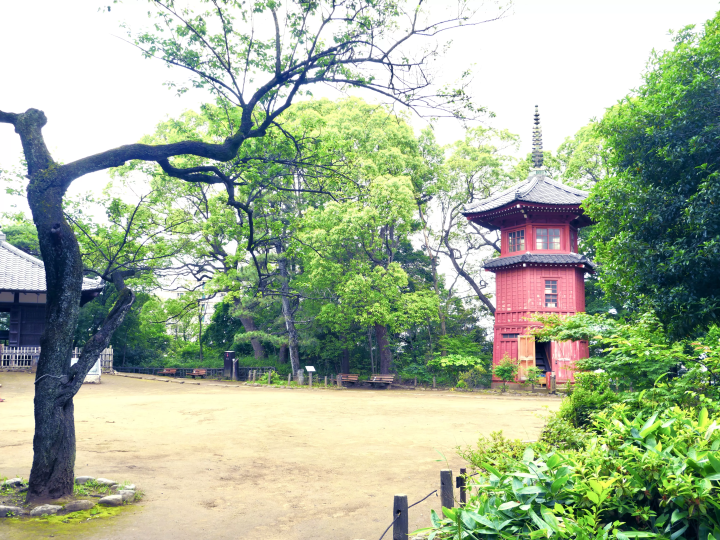 【哲学堂公園】古建築物を訪ねて、プチトリップ気分。