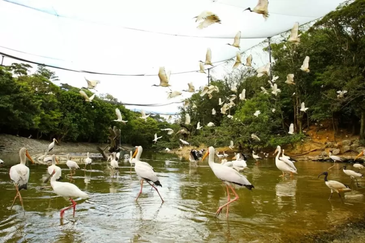 Get discount coupons for admission to tourist attractions! Okinawa Marugoto Pon