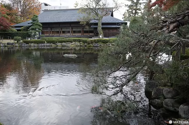 【Yamagata】Five Selected Autumn Maple Leaf Spots in Yamagata—Perfect for Beginners and Experienced Travelers! Come Enjoy an Autumn Trip in Yamagata!