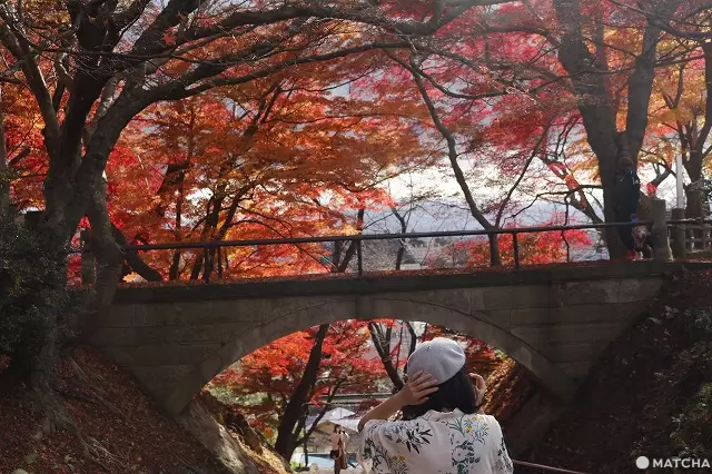Yamagata Autum