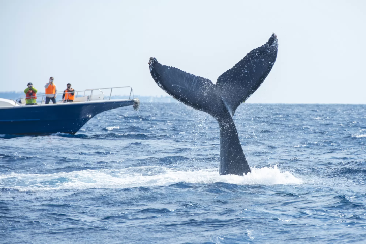【沖繩】掌握天氣四季都好玩！沖繩全年氣溫天候完整攻略