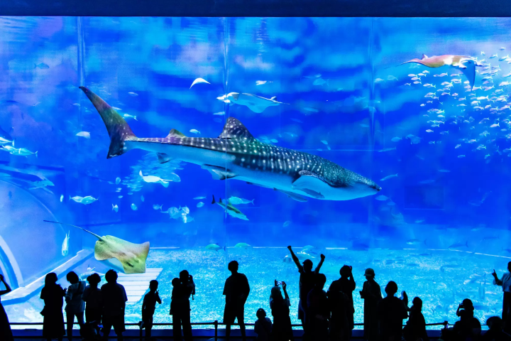 【沖繩】掌握天氣四季都好玩！沖繩全年氣溫天候完整攻略