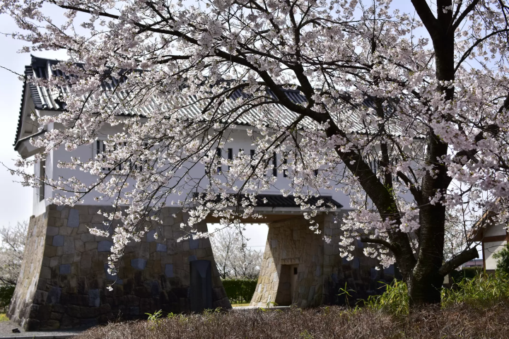 Awaji’s Auberge French Forest: The Little Prince's Culinary Oasis 