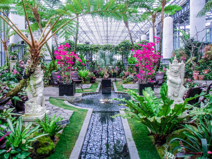 Awaji’s Auberge French Forest: The Little Prince's Culinary Oasis 