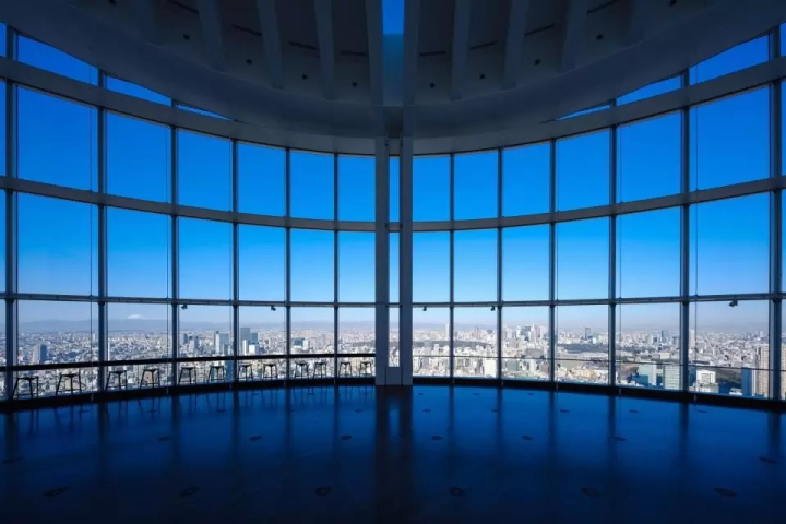 10 Energetic Experiences to Enjoy in Roppongi