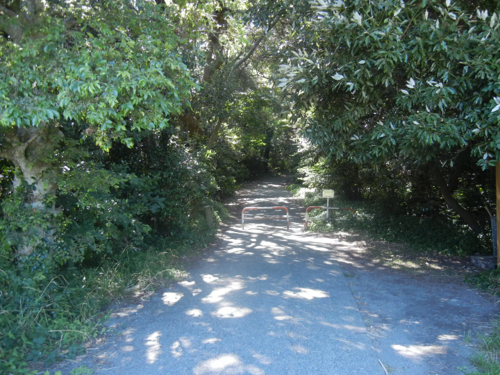 걸어 건너는 무인도 「오키노섬」에서 놀자!