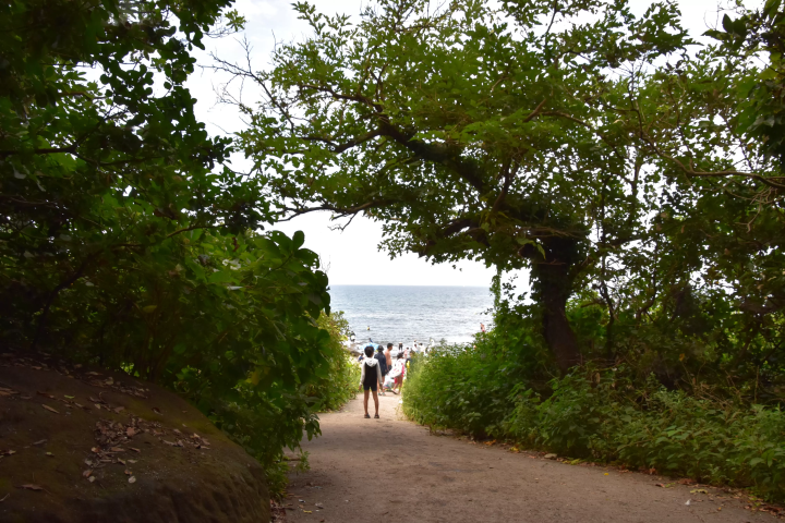 걸어 건너는 무인도 「오키노섬」에서 놀자!