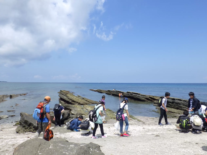 걸어 건너는 무인도 「오키노섬」에서 놀자!