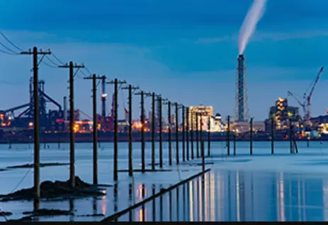 [Chiba Prefecture] Even beginners can feel at ease! A complete guide to car rentals in Chiba Prefecture!