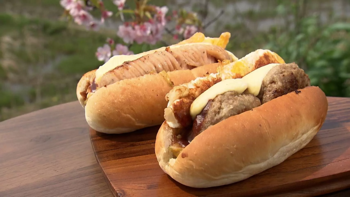 Train station gourmet and historical sites! Going to Kasai city with the Hojo railway