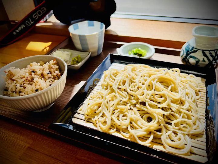 Train station gourmet and historical sites! Going to Kasai city with the Hojo railway