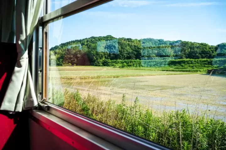 Train station gourmet and historical sites! Going to Kasai city with the Hojo railway