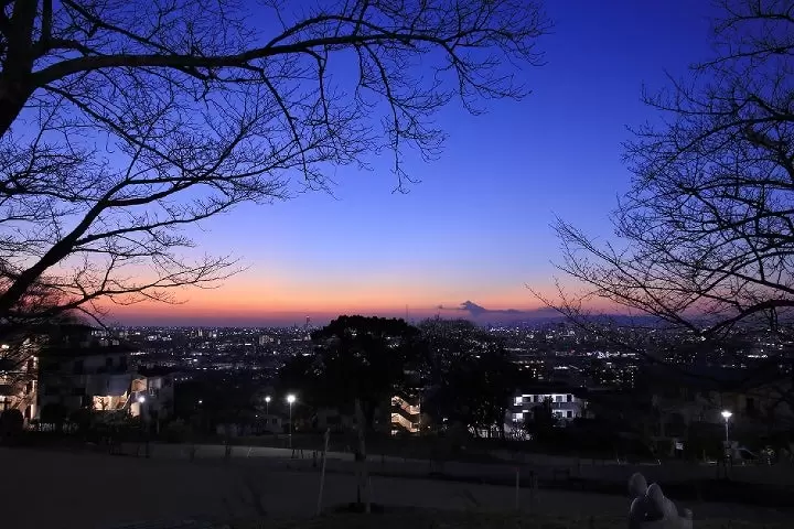 【8/23-8/24 @東大阪・枚岡神社】ライトアップイベント『夏灯しの夢まつり ～ あかりに願いを込めて ～』を開催します！