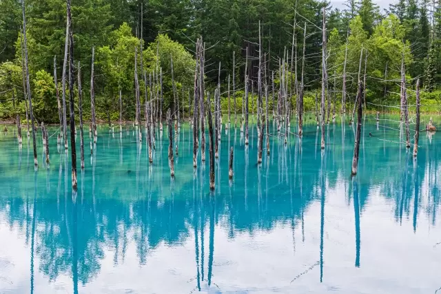 [2025 Update] 3 recommended transportation methods in Hokkaido! Rental car discount information!