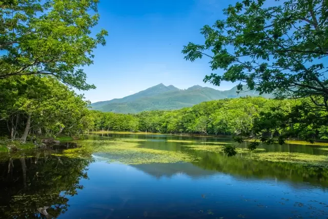 [2025 Update] 3 recommended transportation methods in Hokkaido! Rental car discount information!