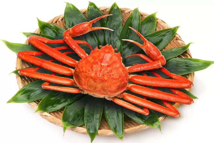 Matsuba Crab 