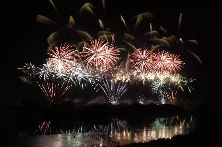 流山花火大会